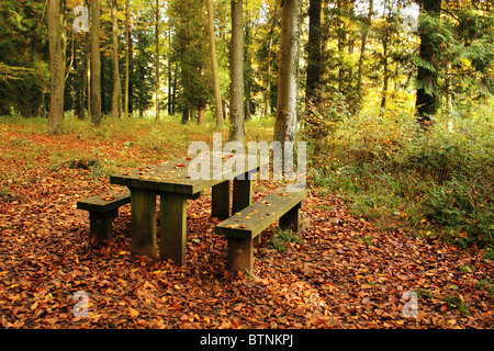 Table de pique-nique en bois pays prises sur une journée d'automne Banque D'Images