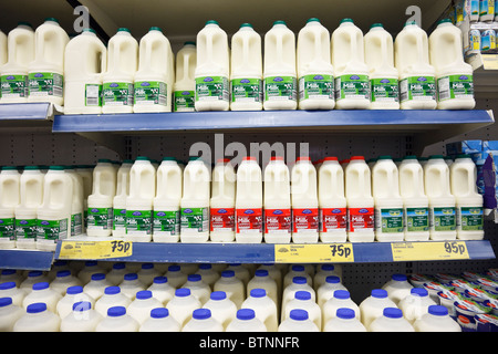 Bouteilles de lait écrémé frais, demi-écrémé et du lait entier en vente sur les rayons des supermarchés. En Angleterre, Royaume-Uni, Grande Bretagne. Banque D'Images