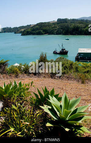 Mangonui, Port,Côte Est, Ile du Nord, Nouvelle-Zélande Banque D'Images