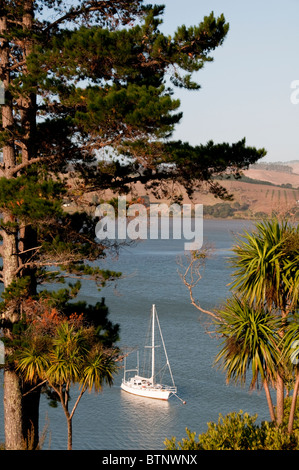 Mangonui, Port,Côte Est, Ile du Nord, Nouvelle-Zélande Banque D'Images