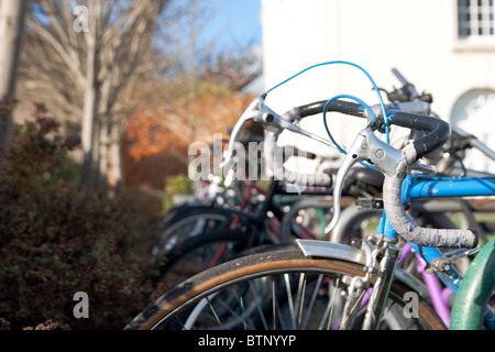 Vélos dans un rack dans une université UK Banque D'Images