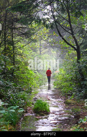 40 461,07596 Femme dans un manteau rouge marche sur un tunnel humide misty comme chemin forestier avec rétroéclairage puissant Banque D'Images