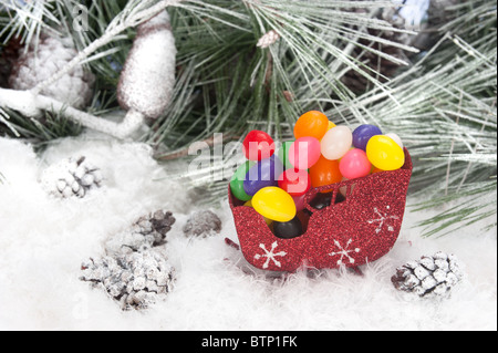 Portrait d'un traîneau de Noël rempli de jelly bean vacances colorées dans l'outil d'un harfang, pin arrière-plan. Banque D'Images