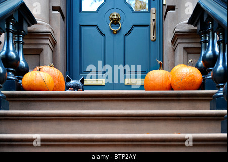Citrouilles d'Halloween et sur une sculpture de chat NYC Brownstone Stoop Banque D'Images
