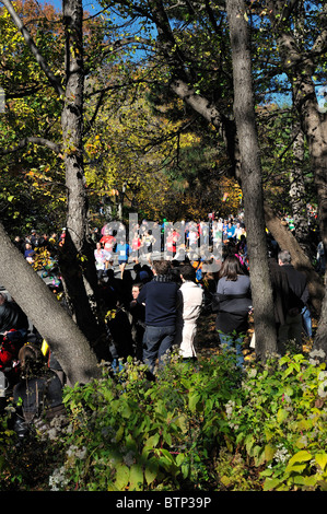 New York - Nov 7 : les foules à Central Park watch porteur dans le Marathon de New York en 2010 près de la dernière quelques miles de la course Banque D'Images