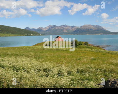 Île de Grytøya vu de près de Ervik, près de Harstad, Hinnøya, Troms, Norvège. Banque D'Images