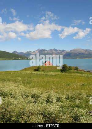 Île de Grytøya vu de près de Ervik, près de Harstad, Hinnøya, Troms, Norvège. Banque D'Images