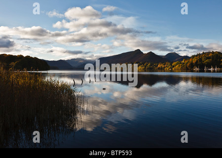 Tôt le matin, un point de vue de l'automne de Keswick Castlerigg vers Cat Cloches, Parc National de Lake District, Cumbria, Angleterre Banque D'Images