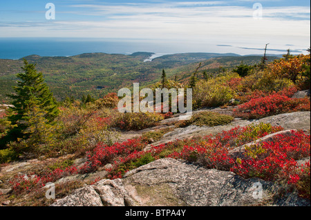 Paysage de l'Acadie, l'Acadie NP, Maine, États-Unis