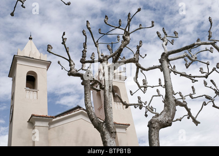 Platane taillés et la chapelle de la VIlla Balbianello à Lenno - Lac de Côme - Lombardie - Italie Banque D'Images