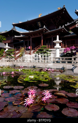 L'Asie, Chine, Hong Kong, Chi Lin Nunnery étang de lotus, Diamond Hill, Kowloon Banque D'Images