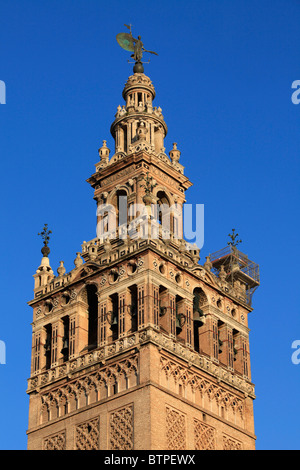 Détail de la tour de la Giralda à Séville, Espagne Banque D'Images