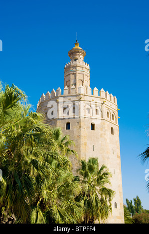 Torre del Orro, Séville, Andalousie, Espagne Banque D'Images