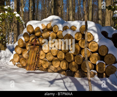 Noël résumé scène hiver tempête de neige bois de chauffage bois de bûches utilisés pour le chauffage à la maison et traîneau en bois d'époque, New Jersey, USA, images de bois de forêt Banque D'Images