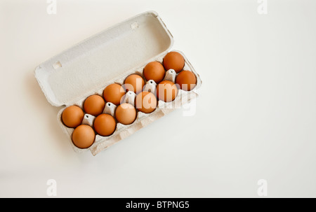 Fermez une douzaine d'œufs de poulet brun coupés dans un carton d'œufs sur fond blanc, New Jersey, USA, produits de volaille alimentation alimentaire Banque D'Images