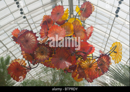 L'œuvre d'artisan verre Dale Chihuly au Jardin Botanique de New York en 2006. Banque D'Images