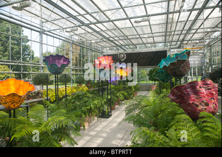 L'œuvre d'artisan verre Dale Chihuly au Jardin Botanique de New York en 2006. Banque D'Images