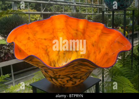 L'œuvre d'artisan verre Dale Chihuly au Jardin Botanique de New York en 2006. Banque D'Images