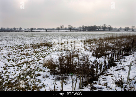 Le site que l'on croit maintenant être où la bataille de Bosworth a eu lieu en 1485, à l'égard Cranves-sales Leicestershire Banque D'Images