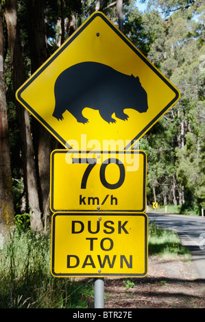 L'Australie, le Centre de Victoria, Trentham, Wombat signe et signe de la limite de vitesse Banque D'Images