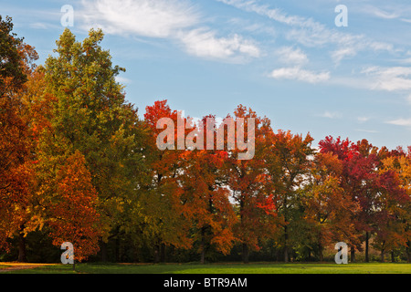 Les teintes d'automne dans le Parco di Monza Italie Banque D'Images