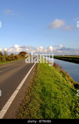 Aux côtés de la route de vidange de 40 pieds près de Benwick, Cambridgeshire, Angleterre, RU Banque D'Images