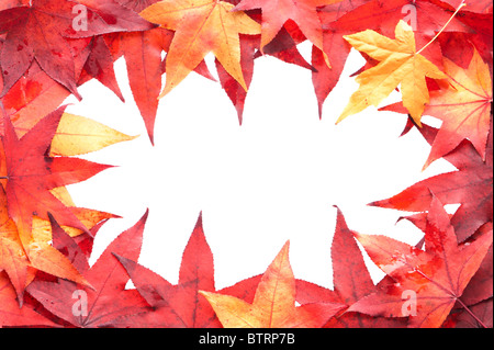 L'automne les feuilles multicolores trame, copyspace sur blanc au milieu. Banque D'Images