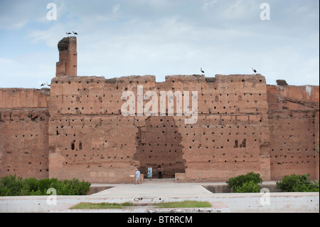 Les cigognes nichant sur les murs de la palais El Badi Marrakech Maroc Afrique du Nord Banque D'Images