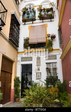 Santa Cruz de la vieille ville près de La Giralda Séville Espagne Banque D'Images
