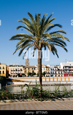 Triana Séville Espagne Rio Guadalquivir River city Banque D'Images
