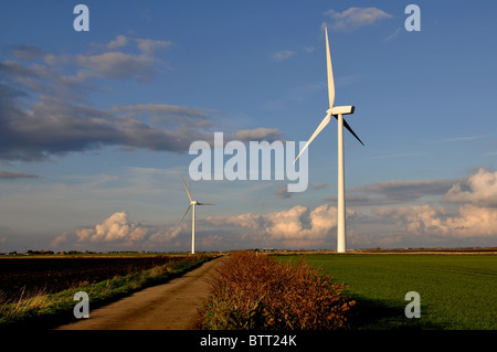 Éoliennes sur les fens à Ranson Moor, Cambridgeshire, Angleterre, RU Banque D'Images