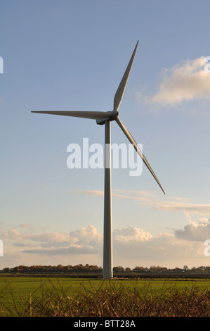 Éolienne sur les fens à Ranson Moor, Cambridgeshire, Angleterre, RU Banque D'Images