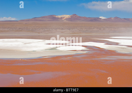 La Laguna Colorada, lagune peu profonde rouge, Altiplano Salt Lake, Potosi, Bolivie Banque D'Images