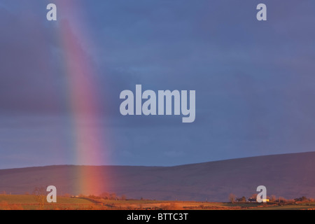 Arc-en-ciel de fin de soirée au-dessus des terres agricoles dans l'Binevenagh zone de la côte du comté de Derry, Irlande du Nord Banque D'Images