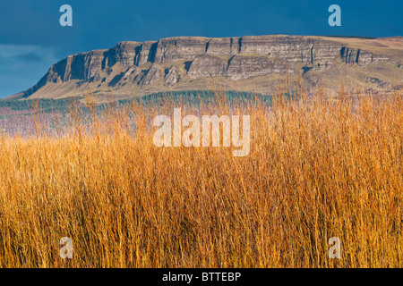 Les rochers escarpés de Binevenagh, une zone d'une beauté exceptionnelle près de Limavady, Comté de Derry, Irlande du Nord Banque D'Images