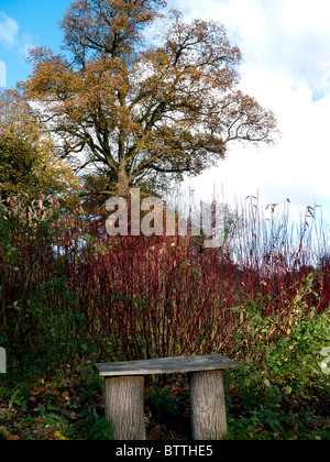 Automne couleur dans Stowe paysage de jardins, Buckingham, Bucks, Royaume-Uni Banque D'Images