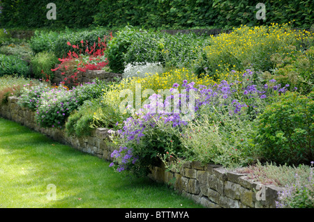 Jardin de plantes vivaces avec mur en pierre sèche Banque D'Images