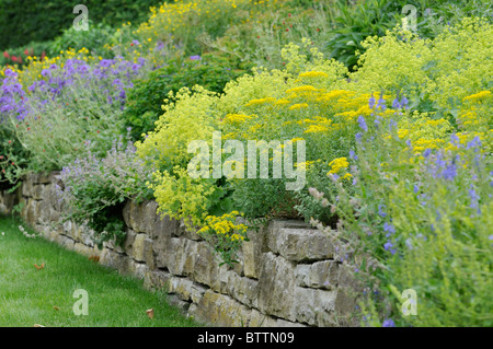 Jardin de plantes vivaces avec mur en pierre sèche Banque D'Images