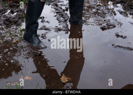 Balades adultes in puddle Banque D'Images