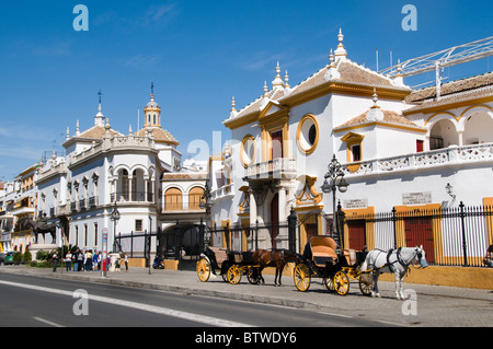 La Plaza de Toros de la Real Maestranza de Caballería de Séville est la plus grandes arènes en Espagne Andalousie Banque D'Images