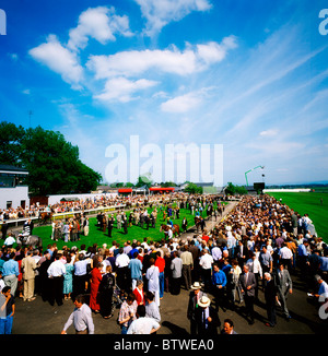 L'hippodrome de Curragh, Co Kildare, Irlande Banque D'Images