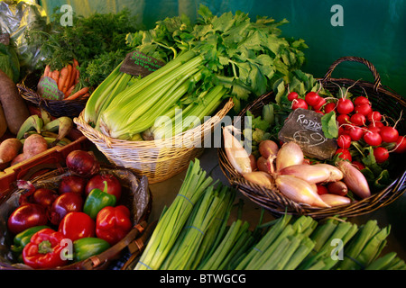 Les produits cultivés localement à la vente à un marché de producteurs Banque D'Images