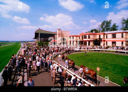 Co Kildare, Irlande ; les spectateurs à regarder les chevaux dans le Ring à l'Hippodrome de Curragh Banque D'Images