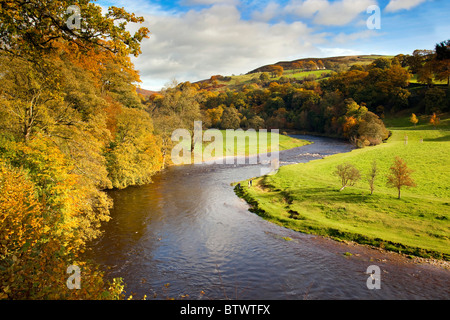 Bolton Abbey Estate ; river Wharfe ; Yorkshire Banque D'Images