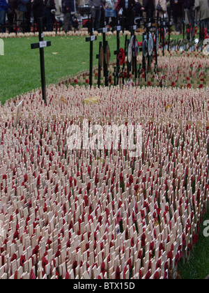 Les Coquelicots du Jour du Souvenir Banque D'Images