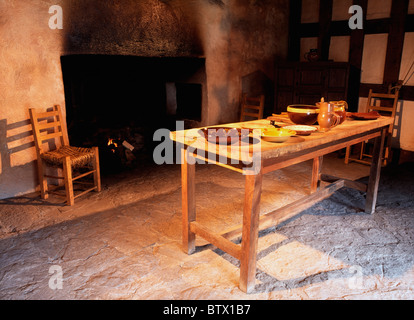 Plantation House, Ulster History Park, Omagh, Co Tyrone, Irlande Banque D'Images