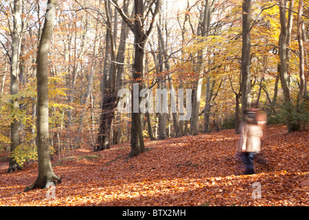 Deux personnes marchant dans les bois Banque D'Images