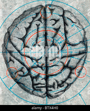 Illustration du cerveau Banque D'Images