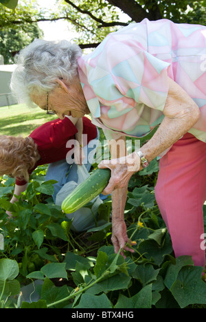 Vieille Femme et fille ramasser des concombres frais du jardin. Walnut Ridge, Arkansas. Banque D'Images