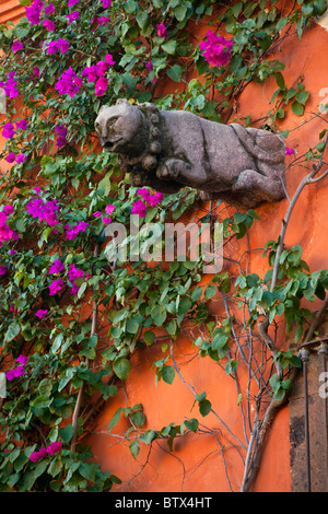 Bougainvillée (Bougainvillea glabra pousse sur les colorfulc murs de San Miguel de Allende, Mexique Banque D'Images